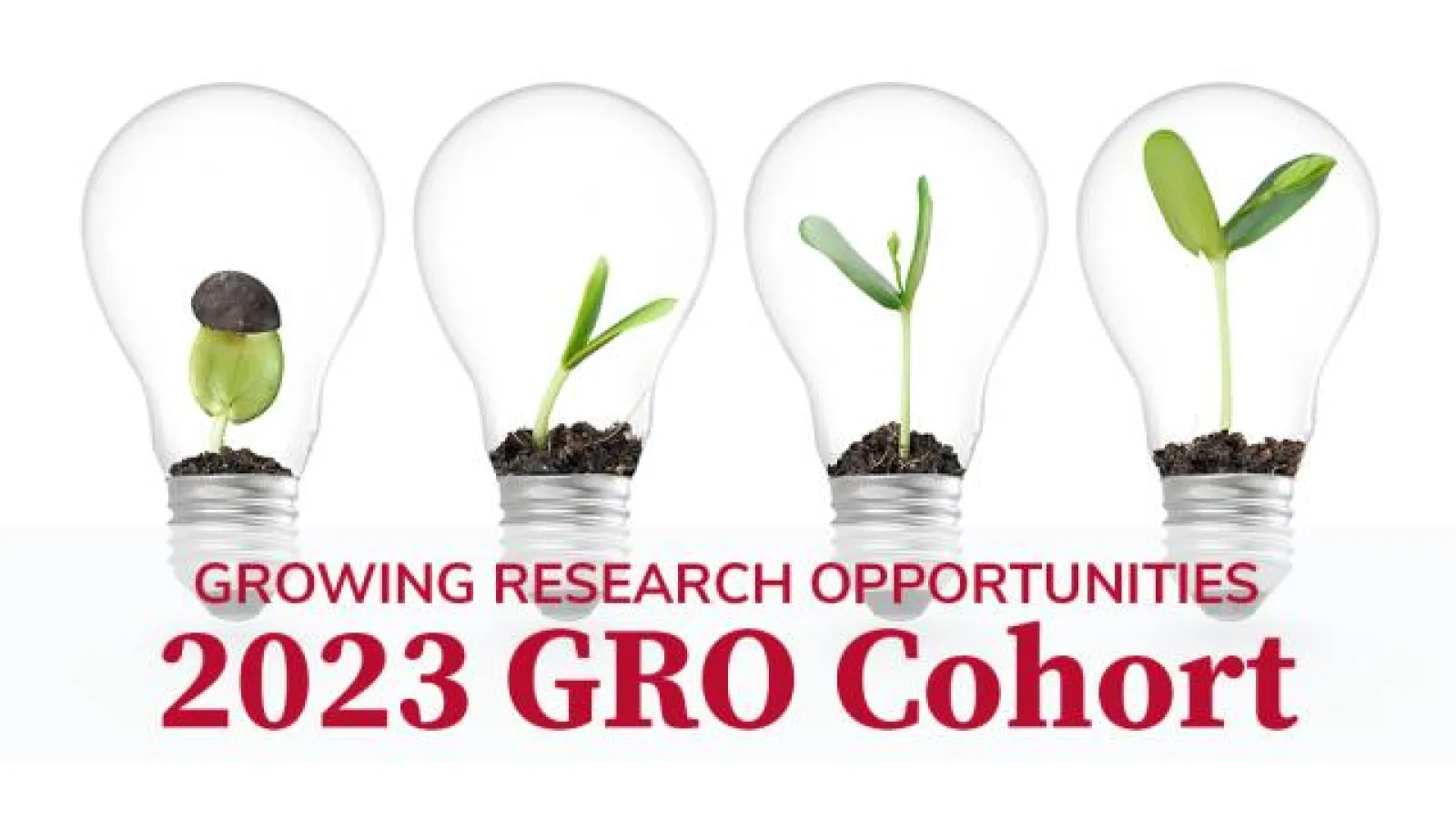 2023 GRO Academy Cohort graphic
